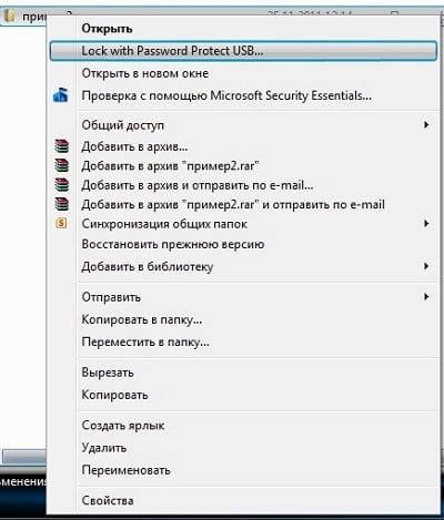 Выбираем Lock with the Password Protect USB